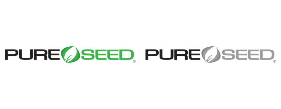 Pure Seed - Los Angeles Coliseum