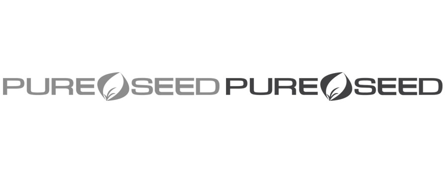 Pure Seed – Los Angeles Coliseum